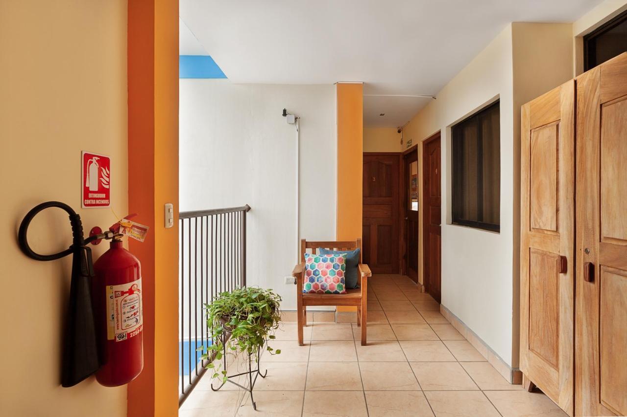 Hostel Tropical And Coworking サン・フアン・デル・スル エクステリア 写真